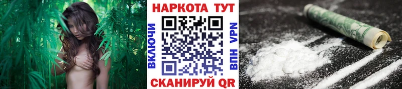 ГАШИШ Волгодонск