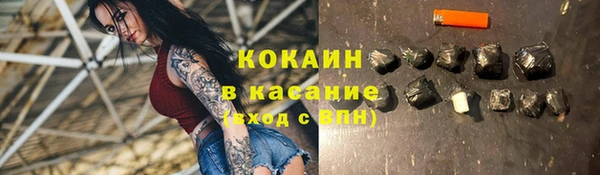 кокс Алексин