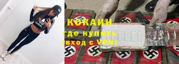 кокс Алексин