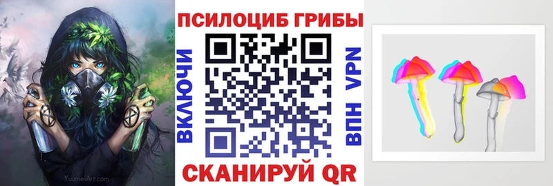 Псилоцибиновые грибы GOLDEN TEACHER  даркнет телеграм  Волгодонск 